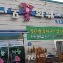 협동조합에서 산 프리지아, 봄을 몰고 왔다 -광주나눔화훼협동조합 이용 후기