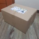 아크네 스튜디오 페레 로우탑 스웨이트 스니커즈 / 찍찍이 블랙 (벨크로) 신발 구매후기