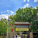중선농장 | 베트남 판랑 여행｜중선사(Trùng Sơn Cổ Tự) 방문 후기, 계단 끝에서 만난 최고의 풍경