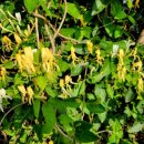 엠디바이오알파 이미지