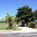 현대자동차 대리점 앞 이미지