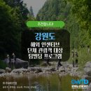 대상빌딩 이미지
