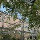 돌 커피, 호프 | 26년 3월 일상 2