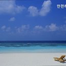만천하횟집