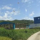 매형목장 이미지