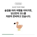 고정코리아 | 포레코리아 아신투어 국내여행지추천 직접 이용해본 후기