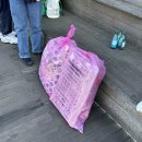 울산과학기술원 융합경영대학원 | [울산대학교 RISE사업단] 그린서포터즈: &#34;소소한실천단&#34;_해양플로깅_10월 활동