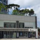 드라포레 수영점 이미지