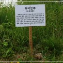 교동지물