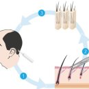 닥터라인의원 이미지