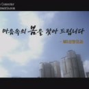 엠에스(MS)성형외과의원 이미지