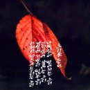 소리를 듣다 이미지