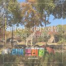 상아유치원 | 에버랜드 리버트레일 후기 아이와 가볼 만한 곳 가을여행