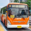 대동백화점(시민생활체육관방면) 이미지