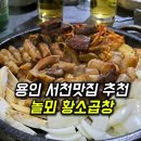 놀뫼황소곱창