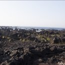 서연목장 이미지