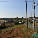 장곡1리 이미지