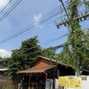 백마카인테리어 | 치앙마이의 맛