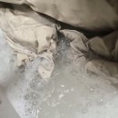 하얀빨래크리닝 | 얼룩제거제 추천 끄룸으로 아이 하얀잠바 소매 찌든때 해결!