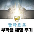 캘러리헬스 | 캘러리헬스 "알파 호프" 수소수 부작용 후기 feat 천국 갈 뻔~