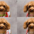 스마트폰 영상제작 및 편집 이미지