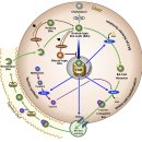 Re: 타우린의 치매치료 기전 탐구 2020 nature!!! 이미지