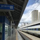 송광사 템플스테이할 결심