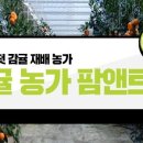 이민숙농장 네이버블로그