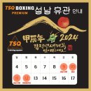 TSQ BOXING 이미지