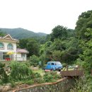 수정-133 이미지