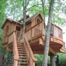 트리하우스 이미지