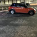 우리애동물병원 이미지