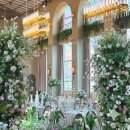 울릉푸른나무호스텔 | 부산 웨딩홀투어 : 그랜드모먼트 : 시그니처홀 (최종 계약 내 베뉴🤍)