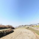 금화공인중개사사무소 이미지