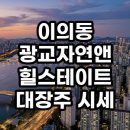 경기도청 신청사 | 이의동 광교자연앤힐스테이트 대장주 시세 및 급매 분석 임장 후기