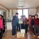 화순불미나리 이미지