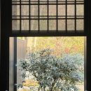 13코스 #2-2 이미지