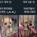 반짝반짝