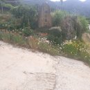 지리산 휴가 민박 이미지