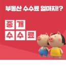 리빌딩부동산중개 이미지