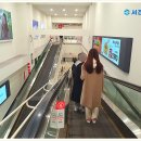 서진광고기획 네이버블로그