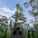 밀리온스크린 | [제천가볼만한곳] 1탄 청풍호반케이블카타는법, 비봉산파밀리온약초숲길