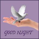 좋은 밤 되세요 / Good Night 이미지 이미지