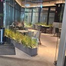 4896 | 광명역 근처 모임. 브런치빈 광명 이용 후기 :) 주차위치, 메뉴, 내 돈 내산 솔직 후기.