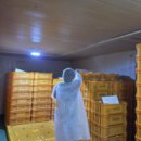 단국대 본태권도 이미지