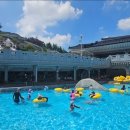 무지개 중원 | 💦 2025 중원워터피아 완벽 가이드