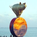 황금돼지 - 구미시 | 황금돼지