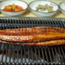 돌집민물장어