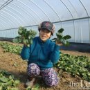 이기순농장 이미지