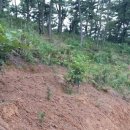 뜨락농원 이미지